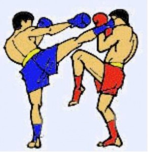 кикбоксинг,тайский бокс,ММА